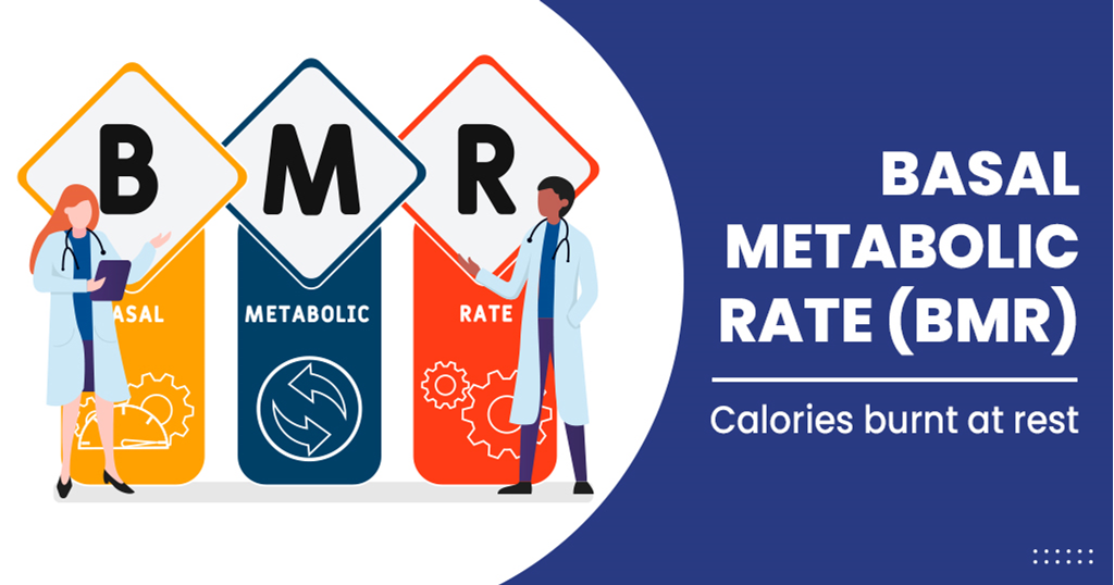 Basal Metabolic Rate BMR